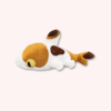 Calico Sharkitty Plush